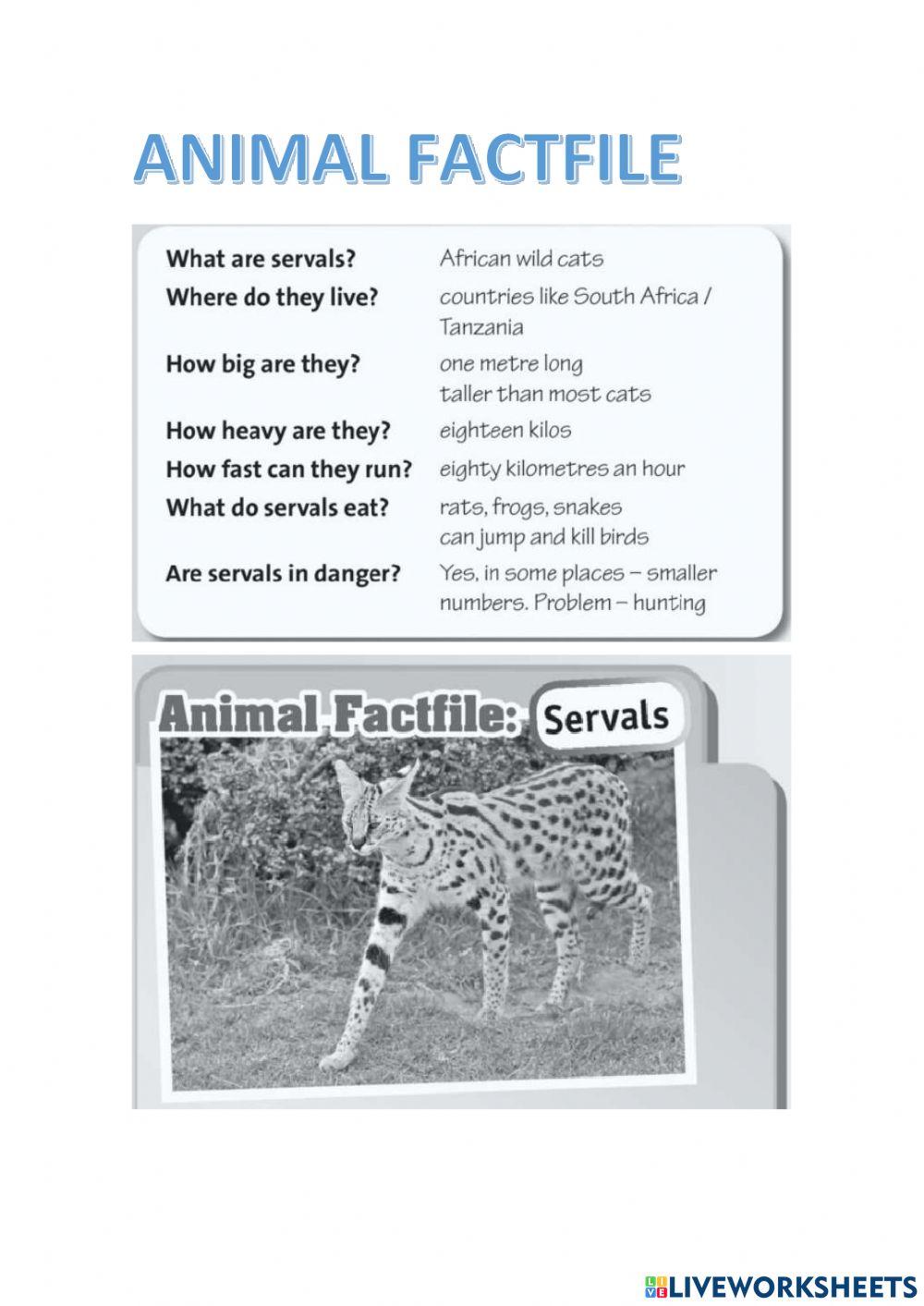 Animal factfile