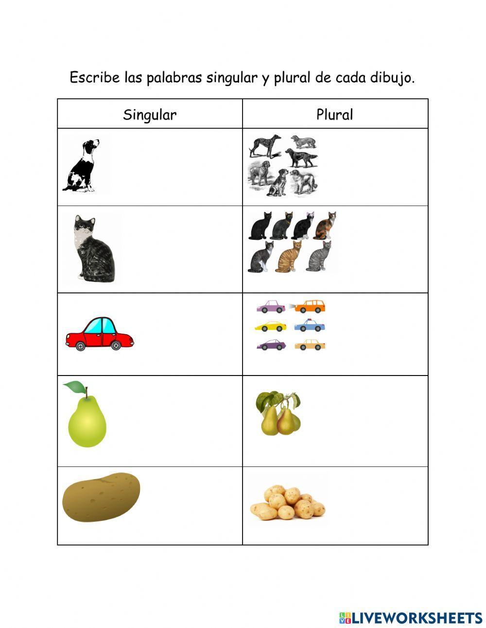 Sustantivos singulares y plurales