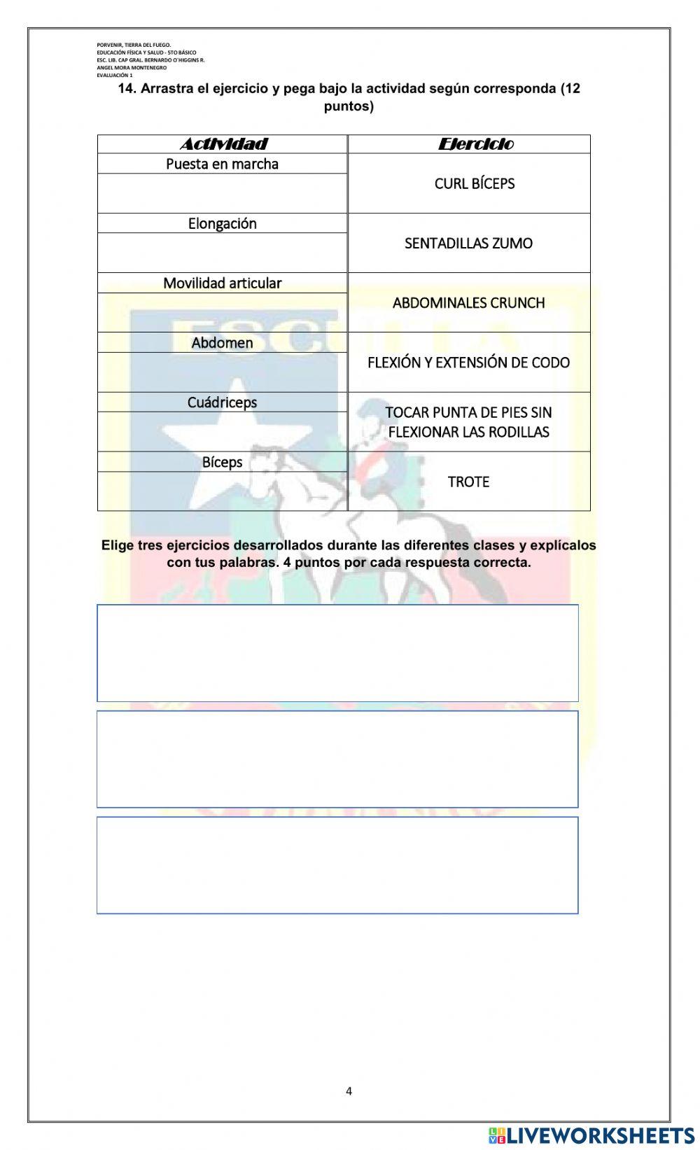 Evaluación 1 - SEPTIMO BÁSICO