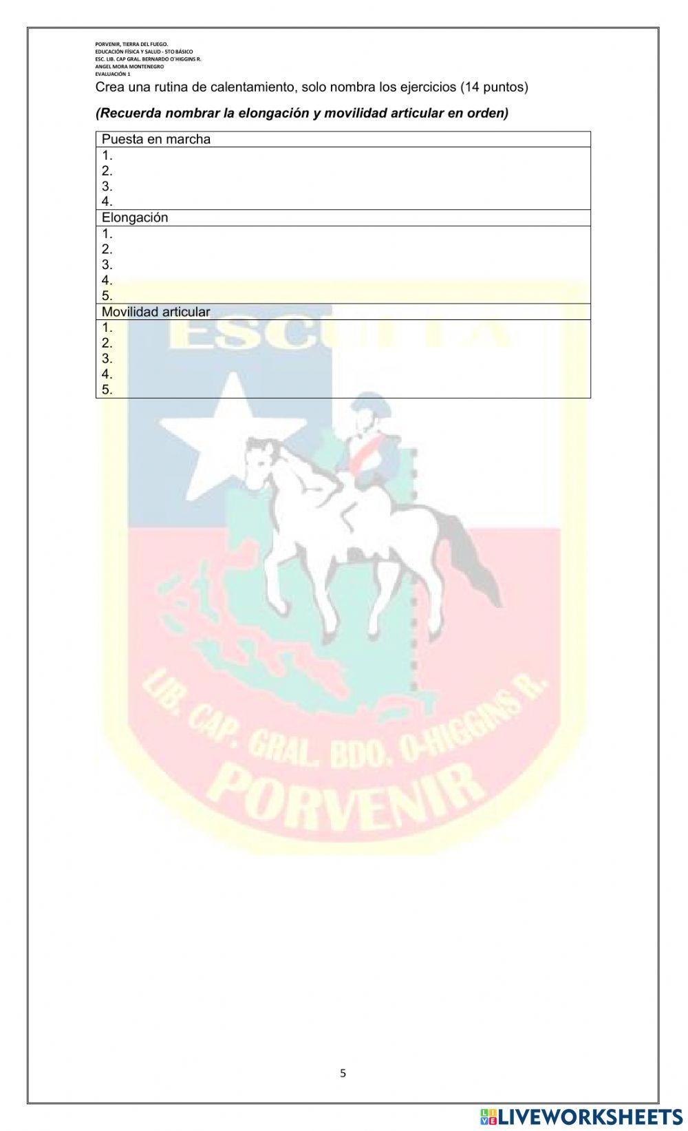 Evaluación 1 - SEPTIMO BÁSICO