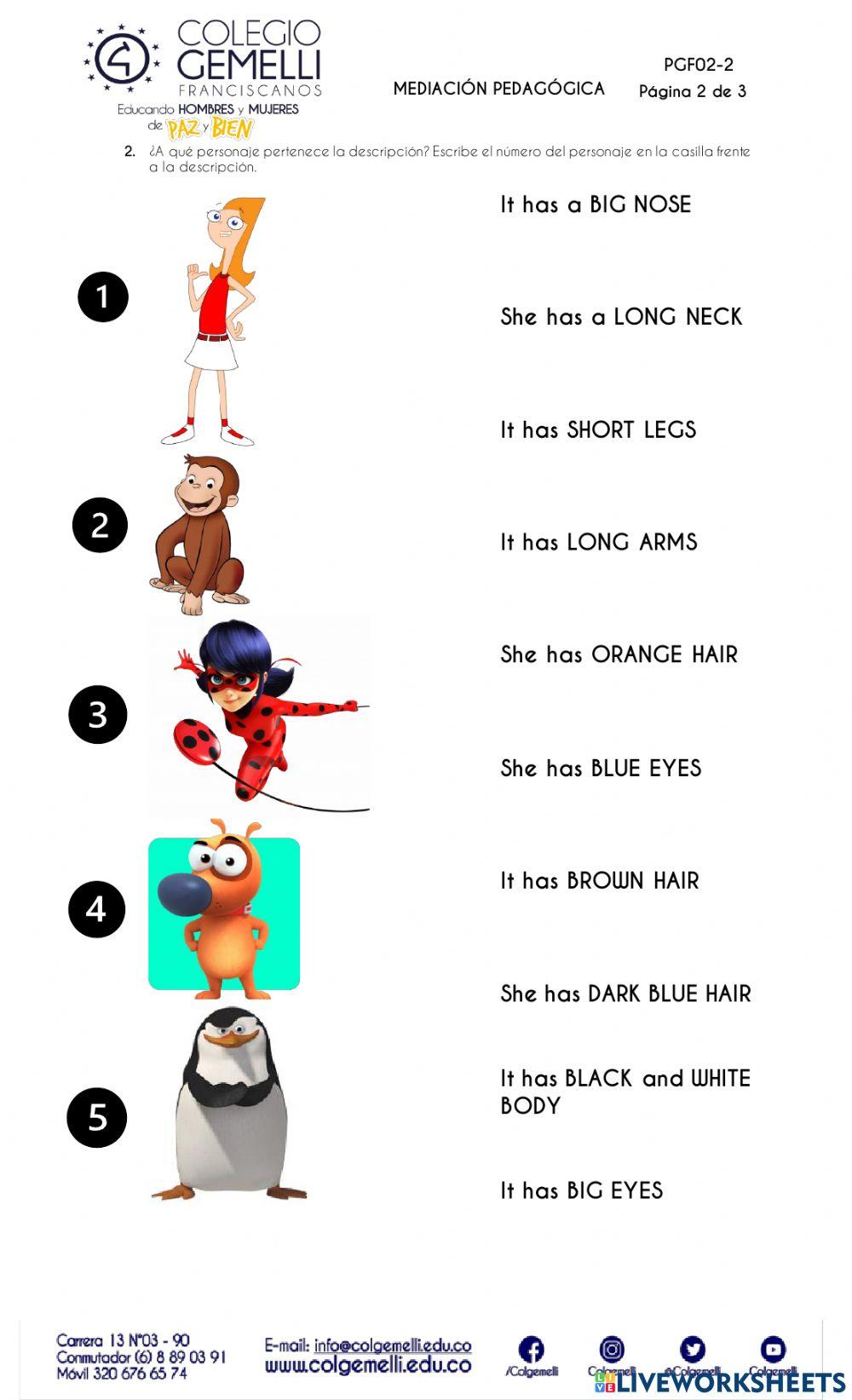 My body, Physical description - 2nd term exam - 1st grade