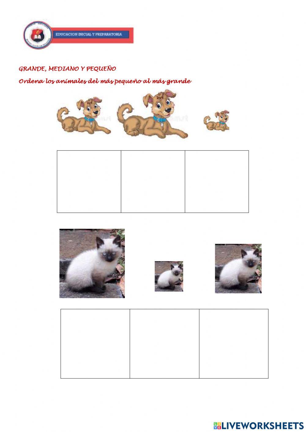 Grande, mediano y pequeño