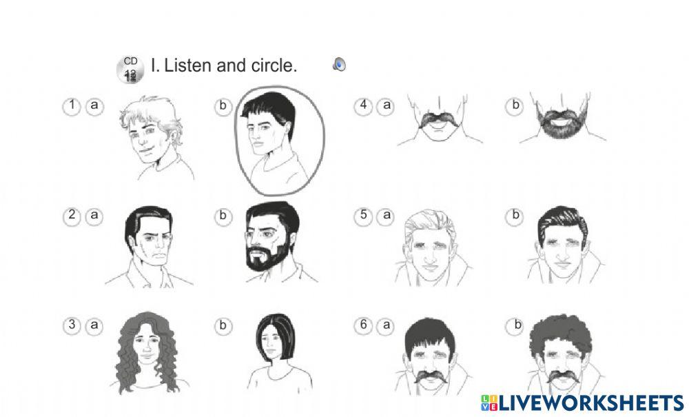 Physical description