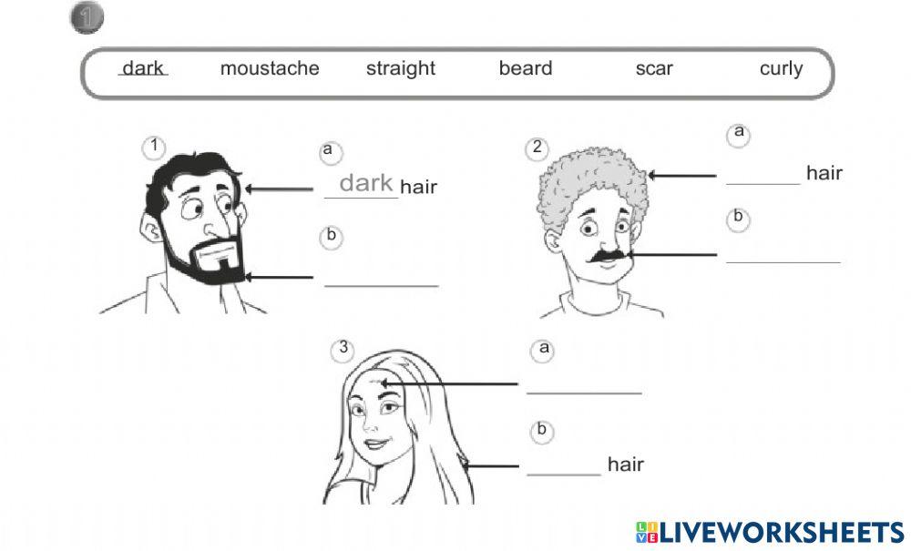 Physical description