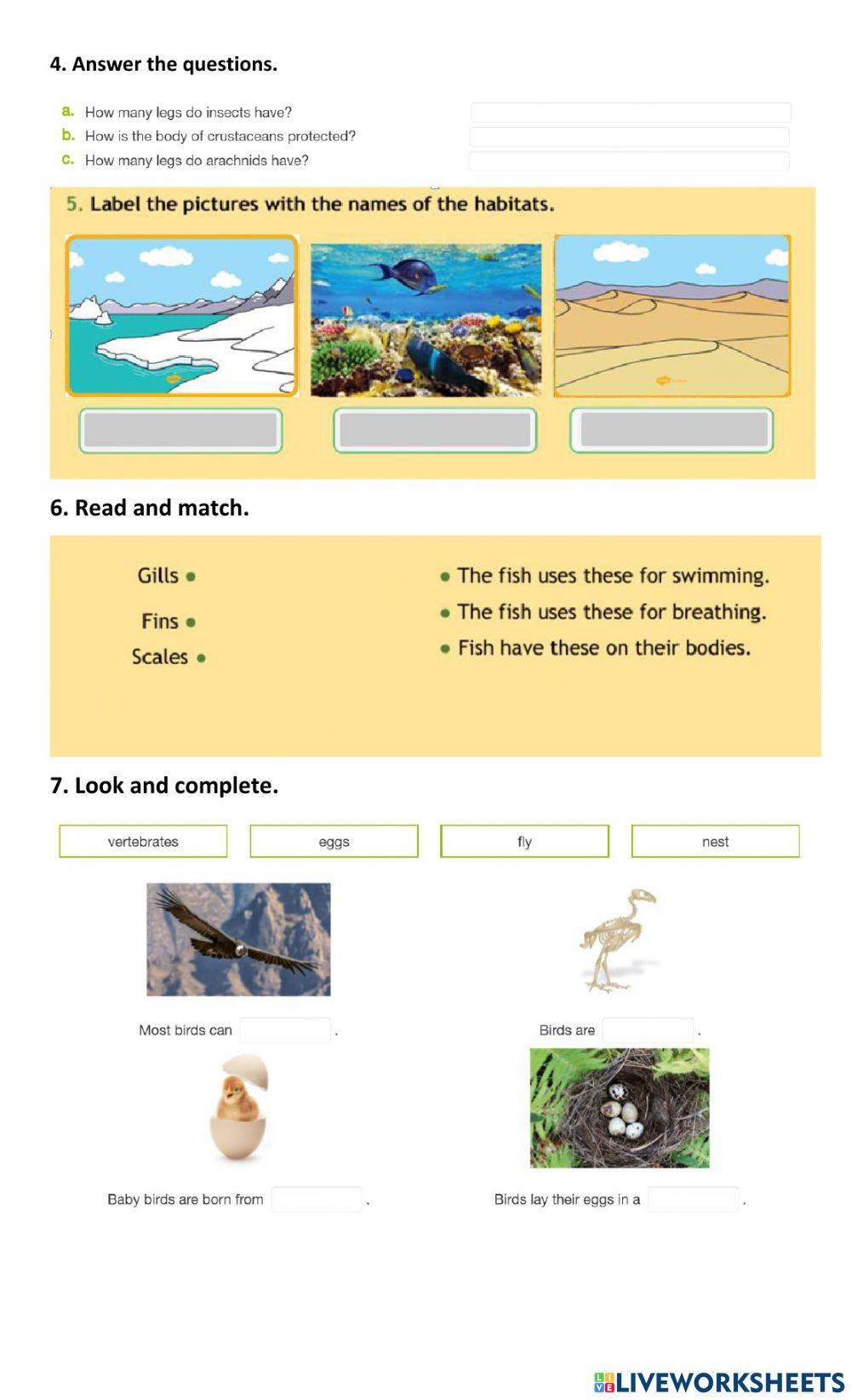Animal habitats Animal habitats