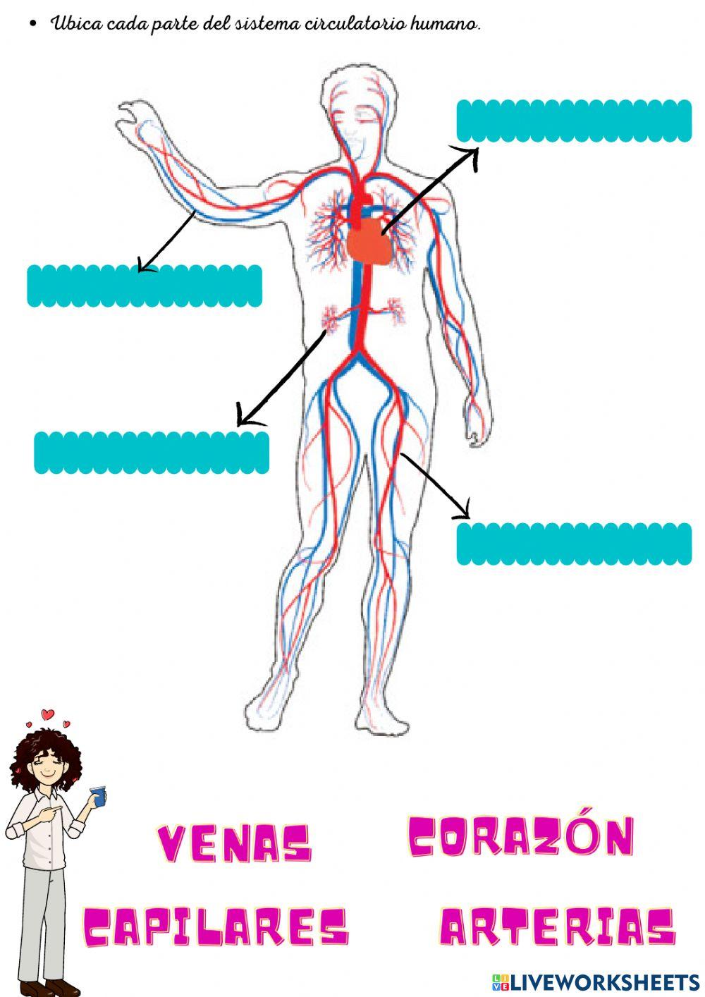 Socialización de Saberes de Naturales 4º