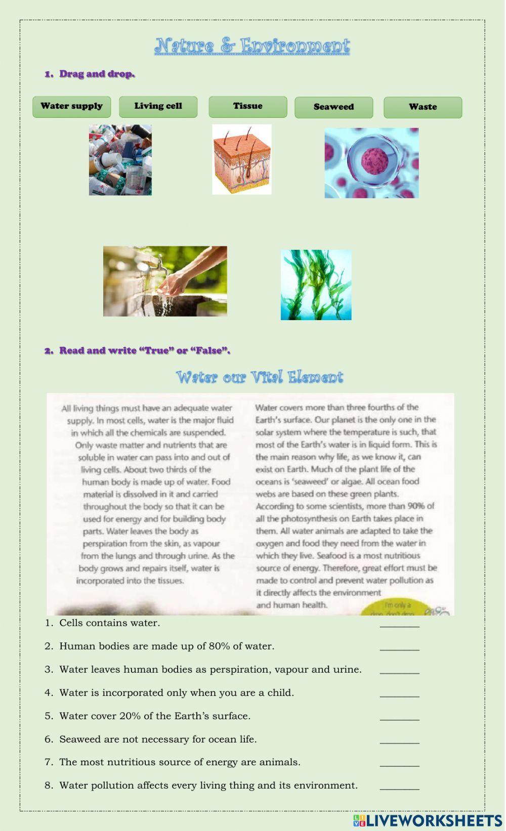 Water our Vital Element