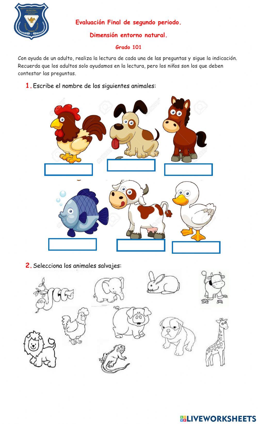 Evaluación Entorno Natural