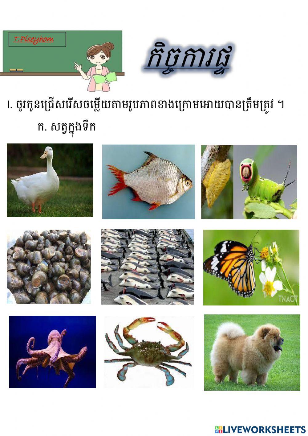 កិច្ចការផ្ទះ