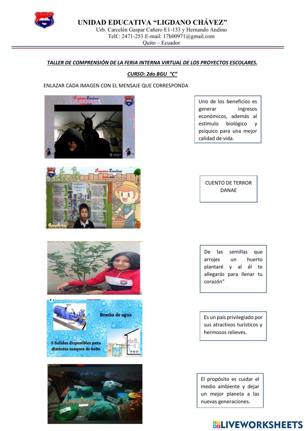 Ejemplo de comprensión lectora