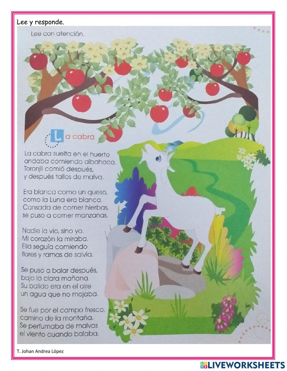 Comprensión lectora - La cabra