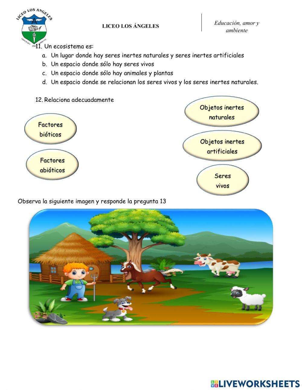 Ev.acum CN 3° - p2 V2