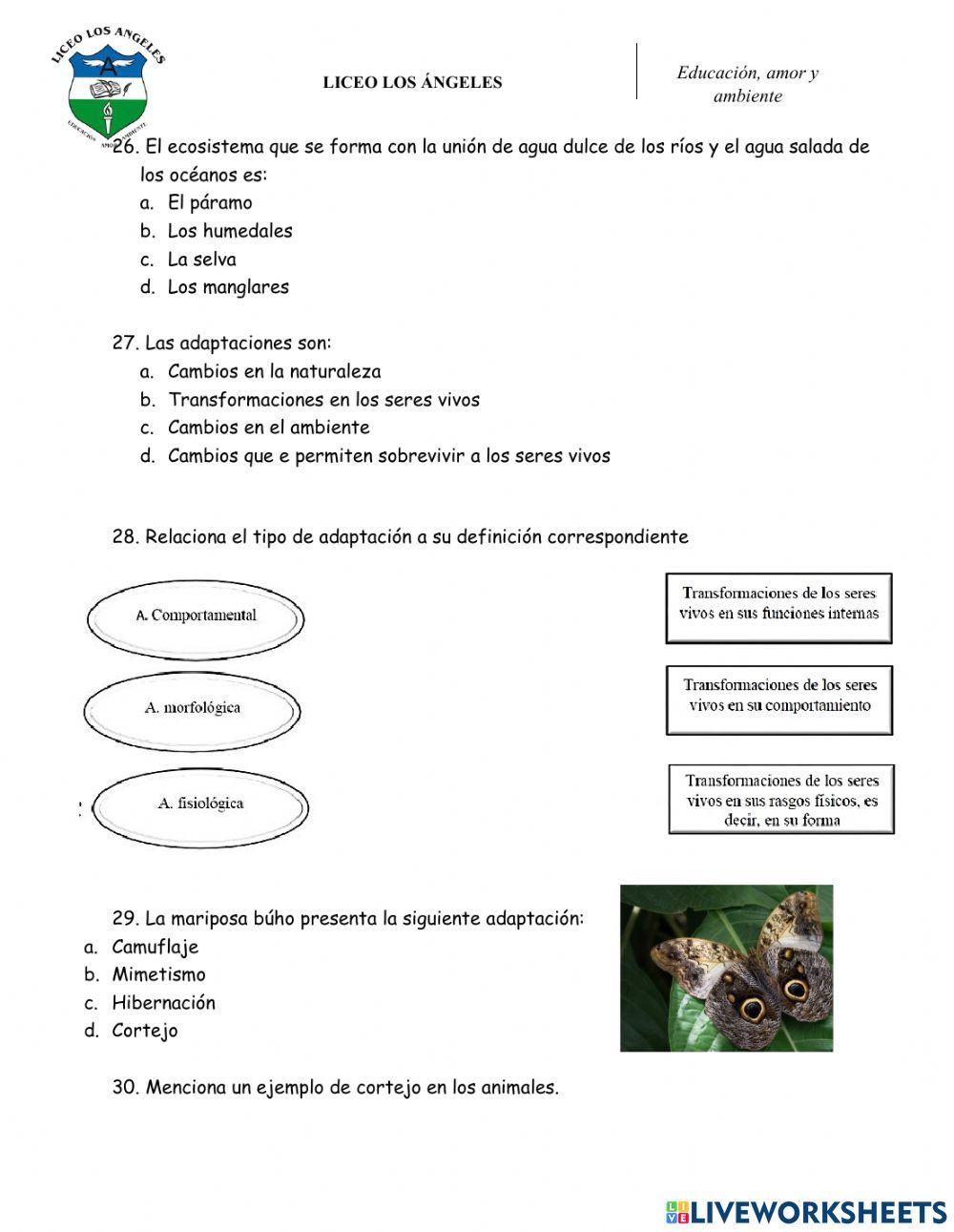 Ev.acum CN 3° - p2 V2