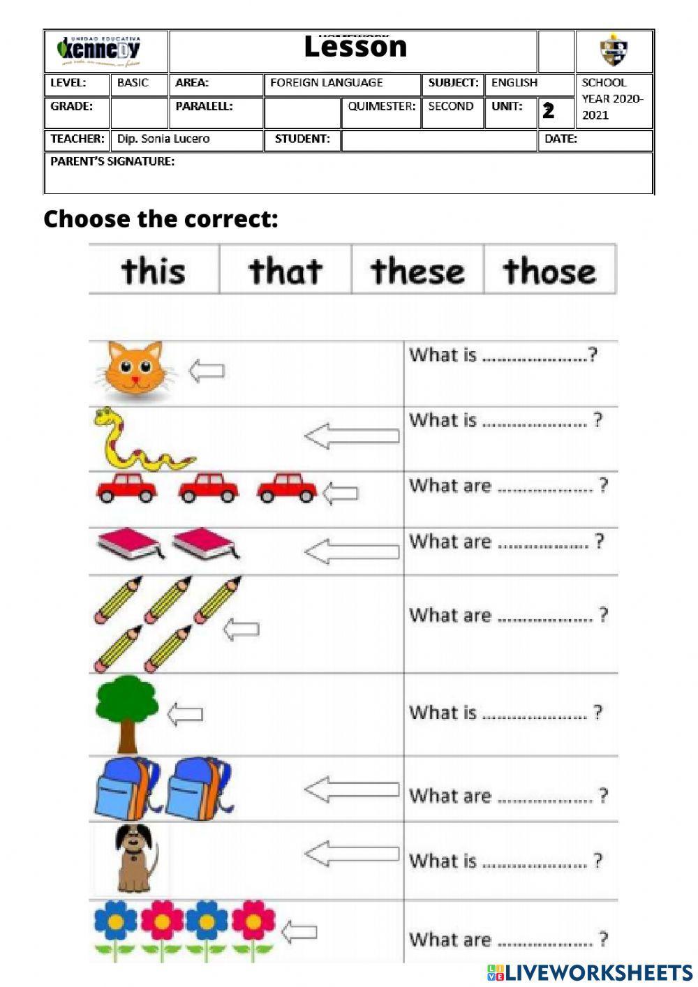 Demonstrative Adjectives
