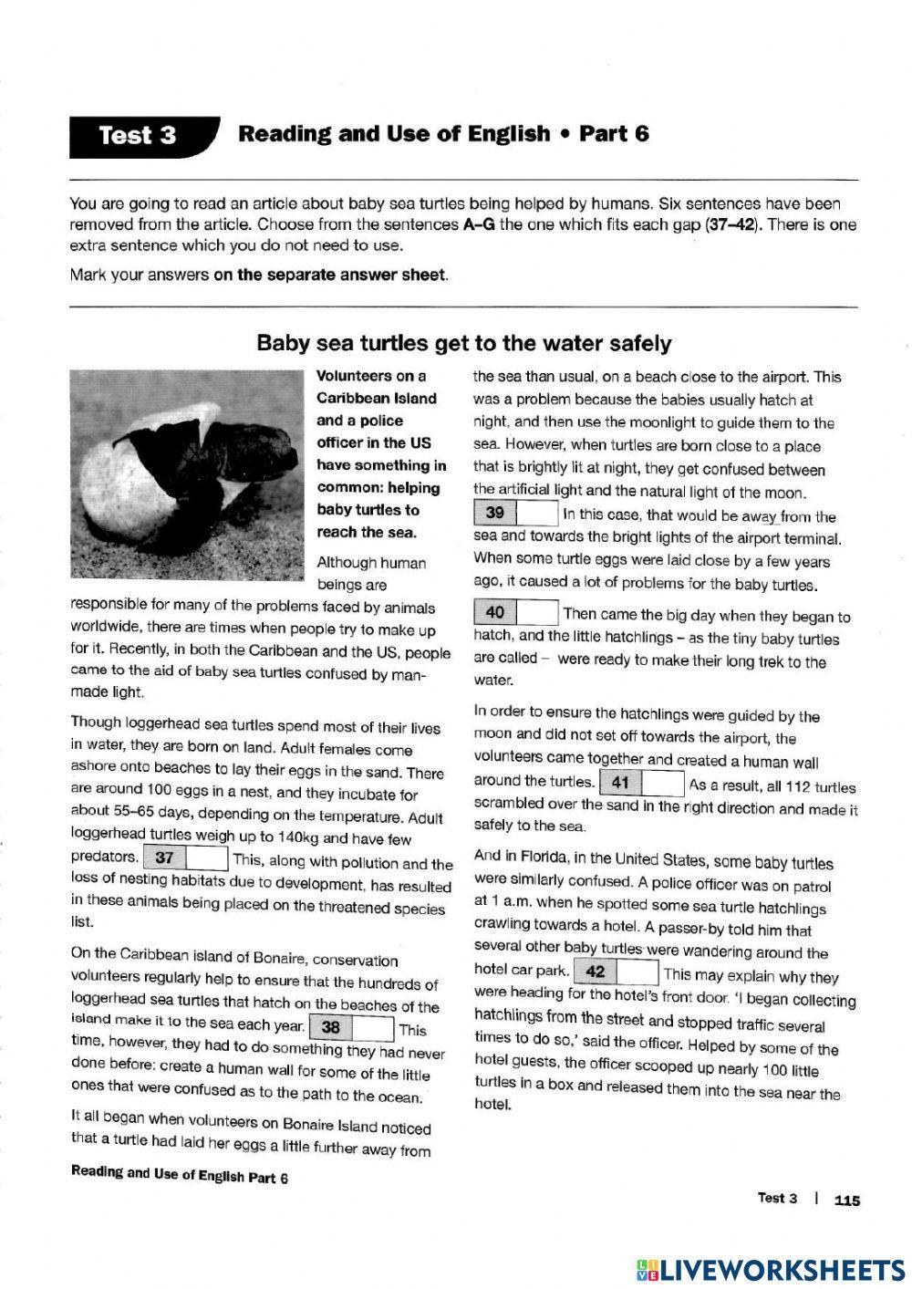 Mid term exam 2021-  reading 