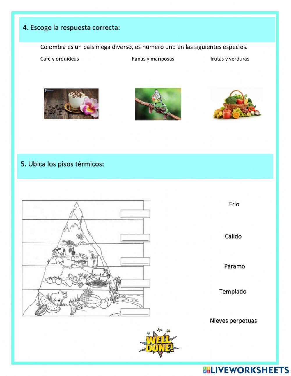 Socialización de Saberes de Geografía 5º