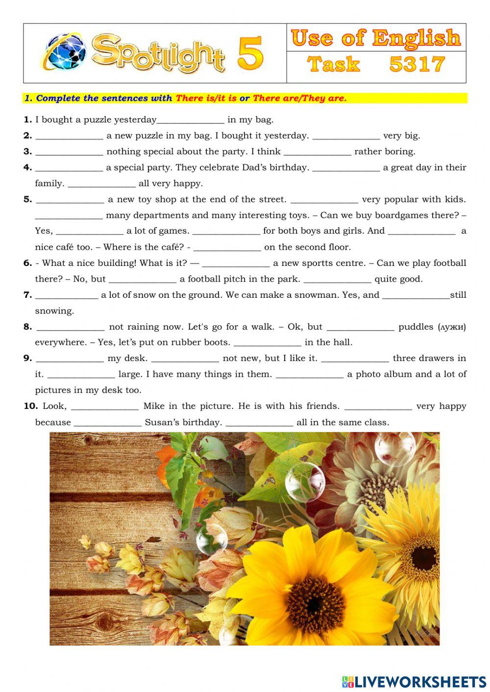 Spotlight 5 Task 5317