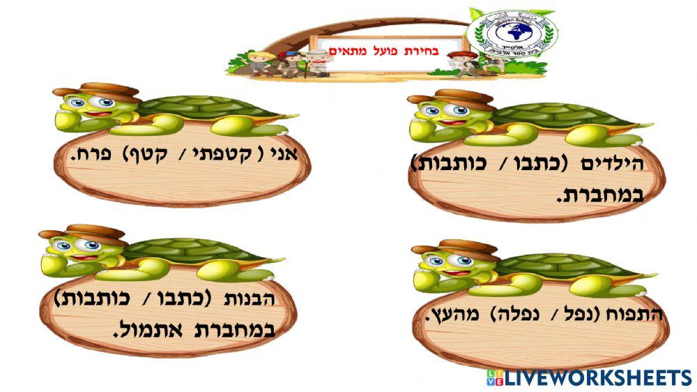 פועל  מתאים