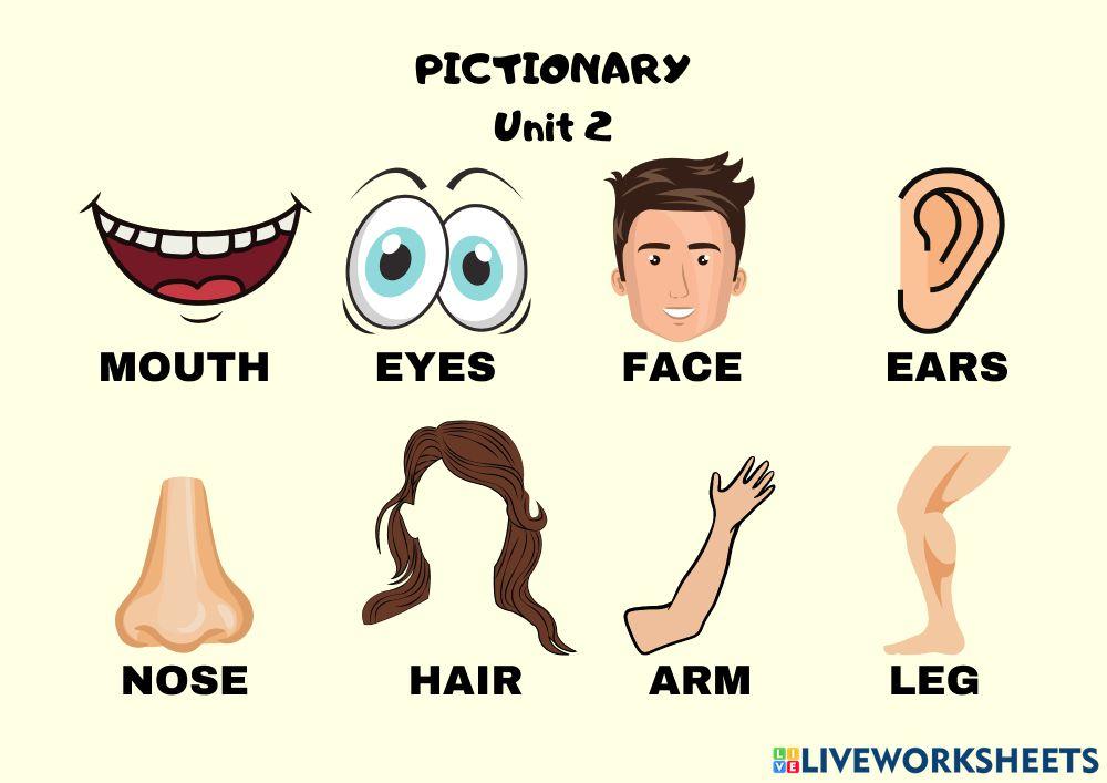 Pictionary online exercise for Pre-primary 3 | Live Worksheets