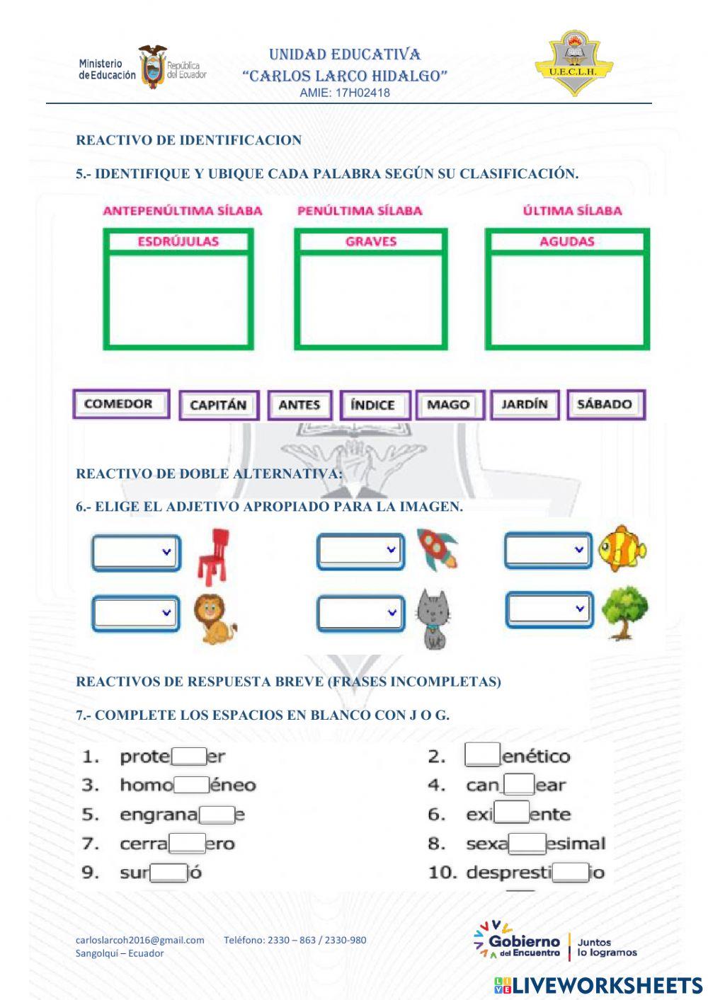 Evaluación de lengua y literatura