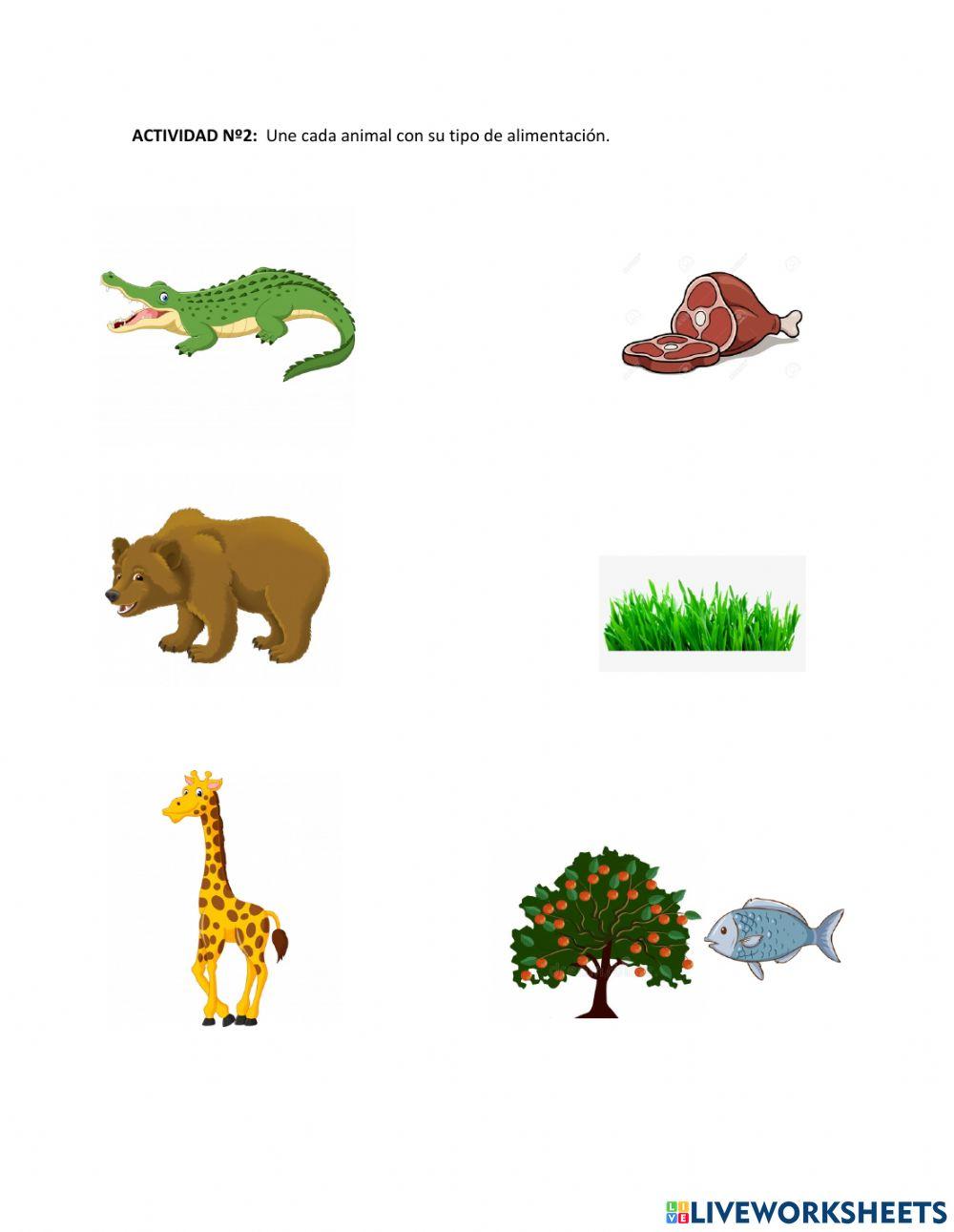 Animales según su alimentanción