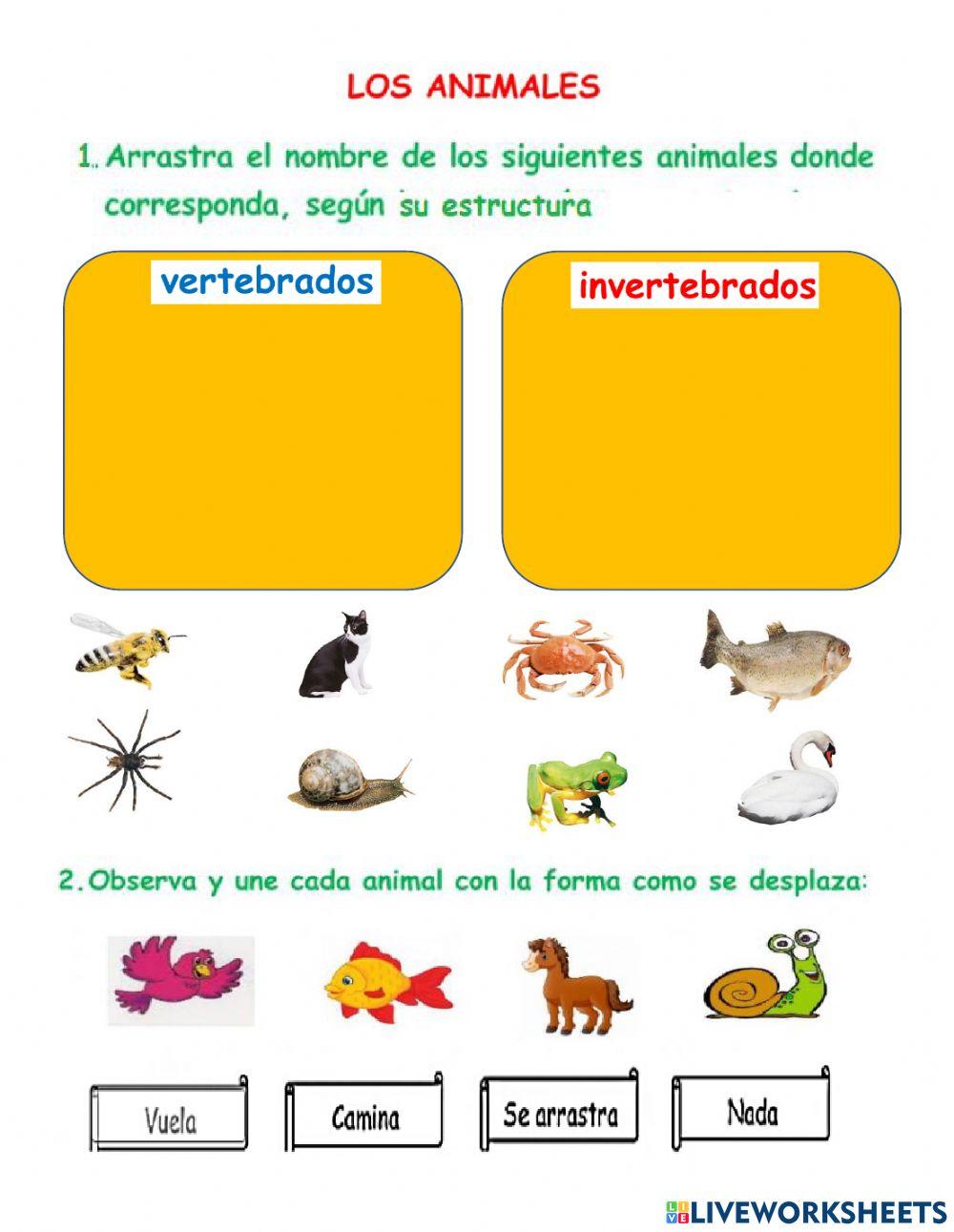 Los animales 1