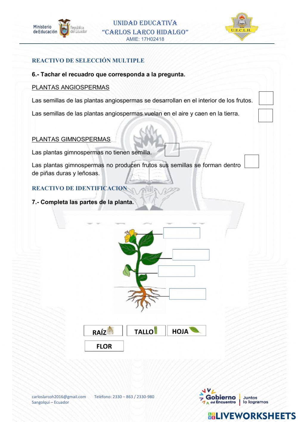 Evaluación de ciencias naturales