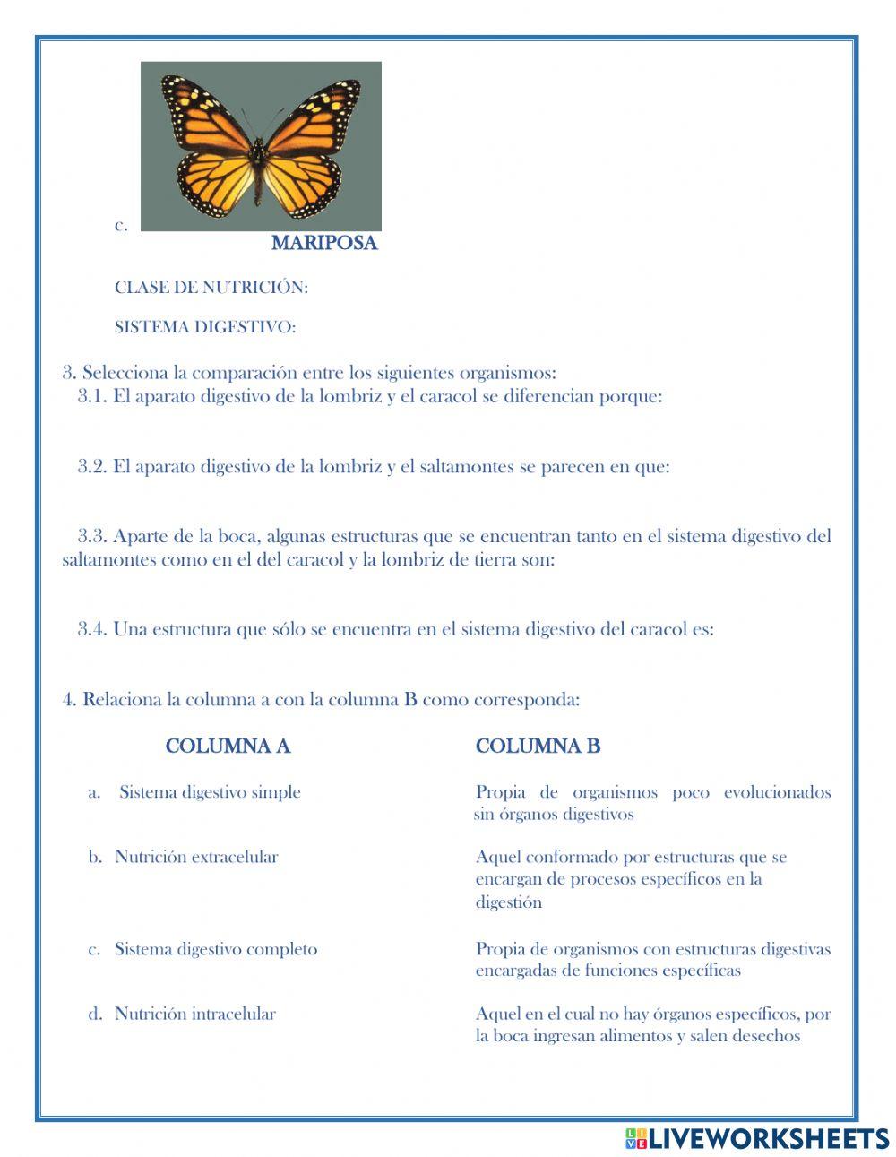 Nutrición en invertebrados