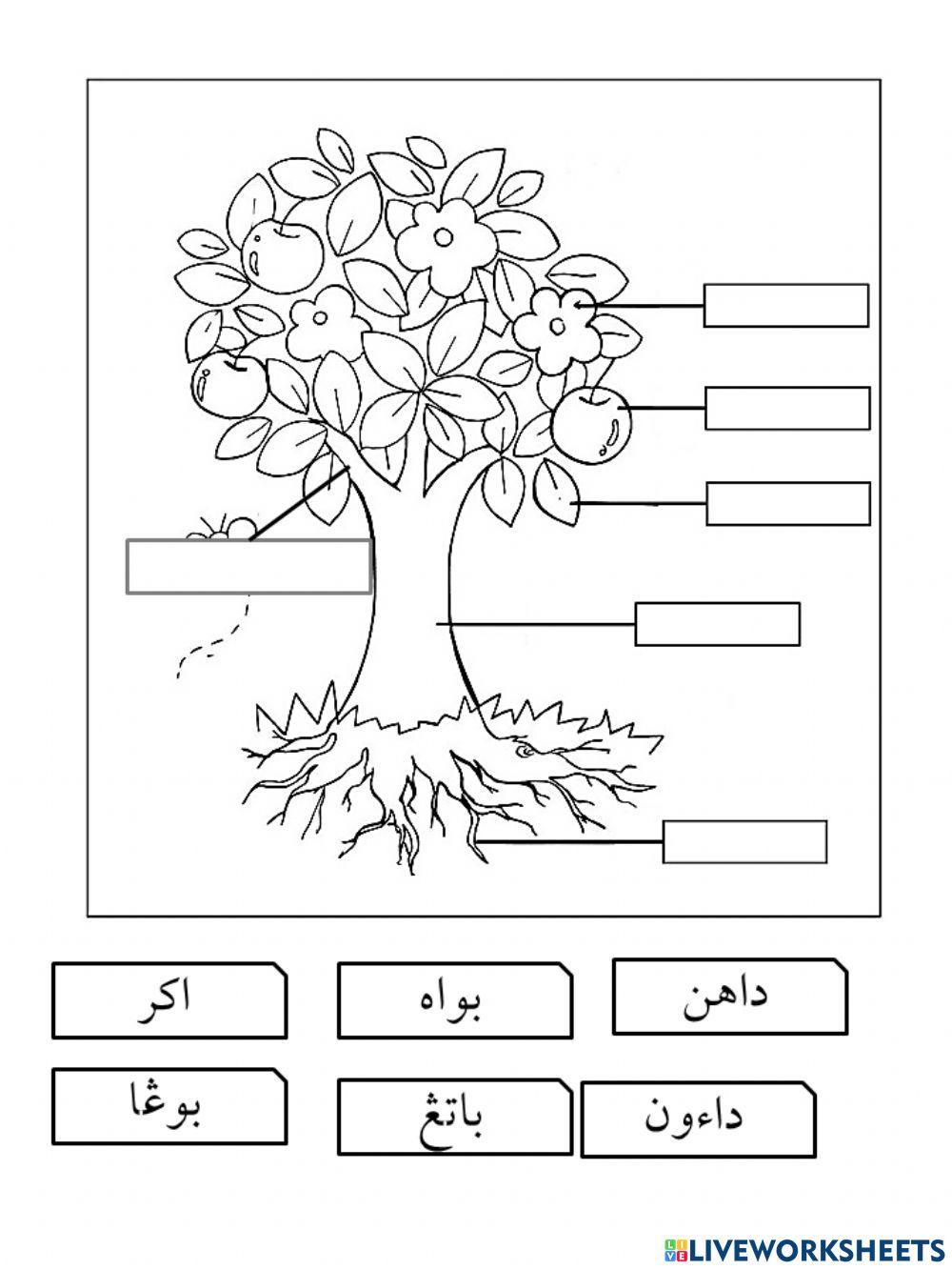Pelajaran 2 latihan 1