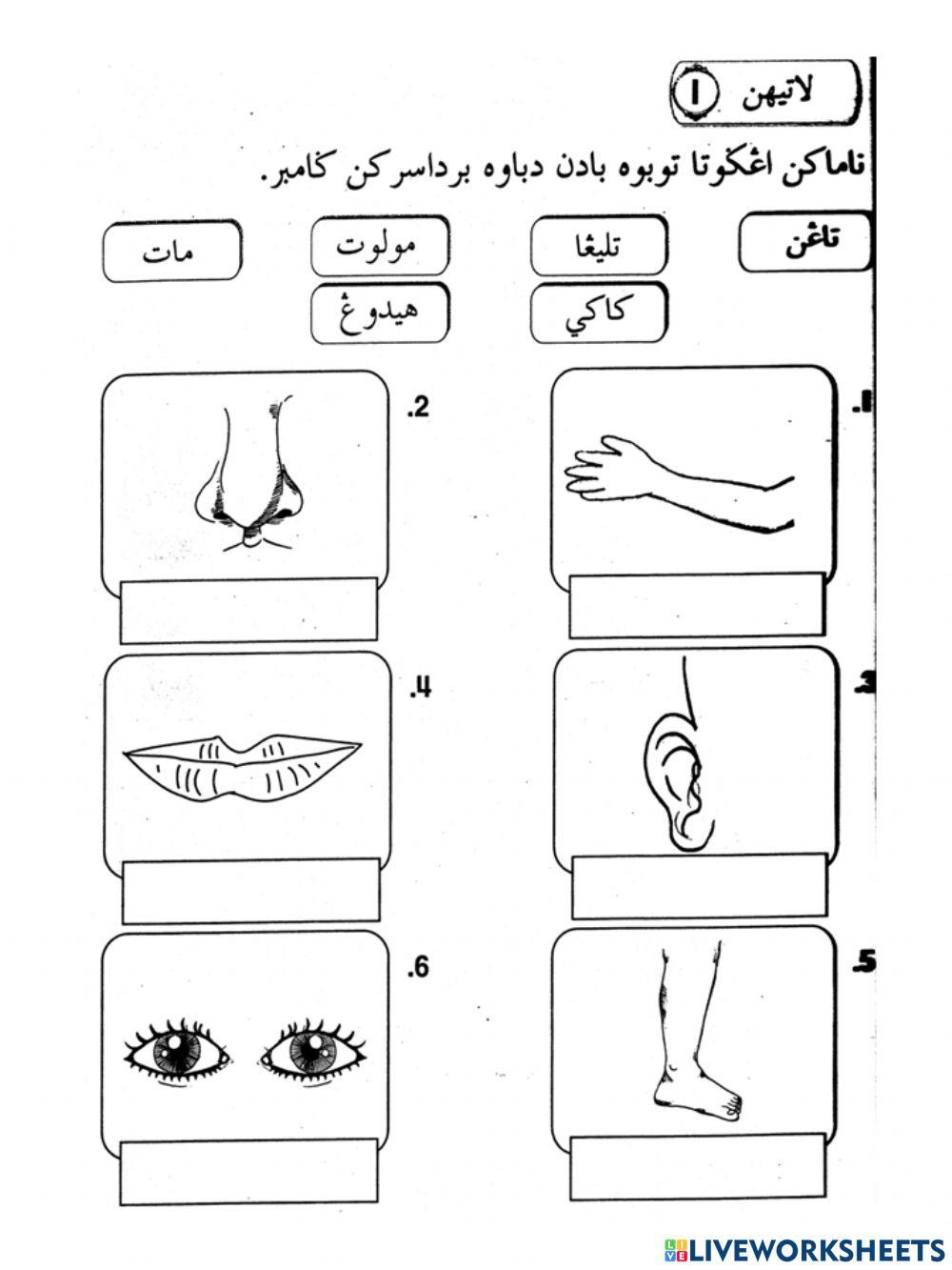 Pel 5 allah menjadikan kita