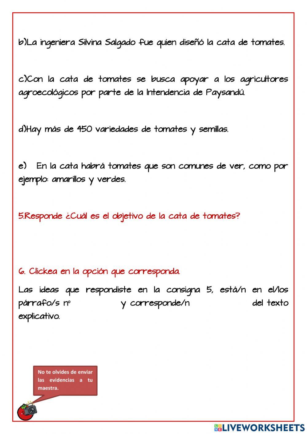 Actividad 7-SEGUNDO CICLO