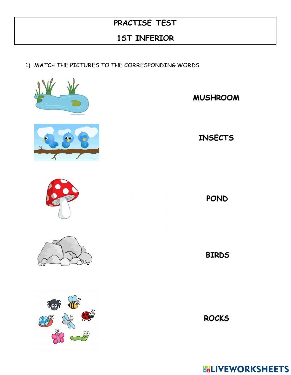 1st inferior practise test poptropica 2 unit 1