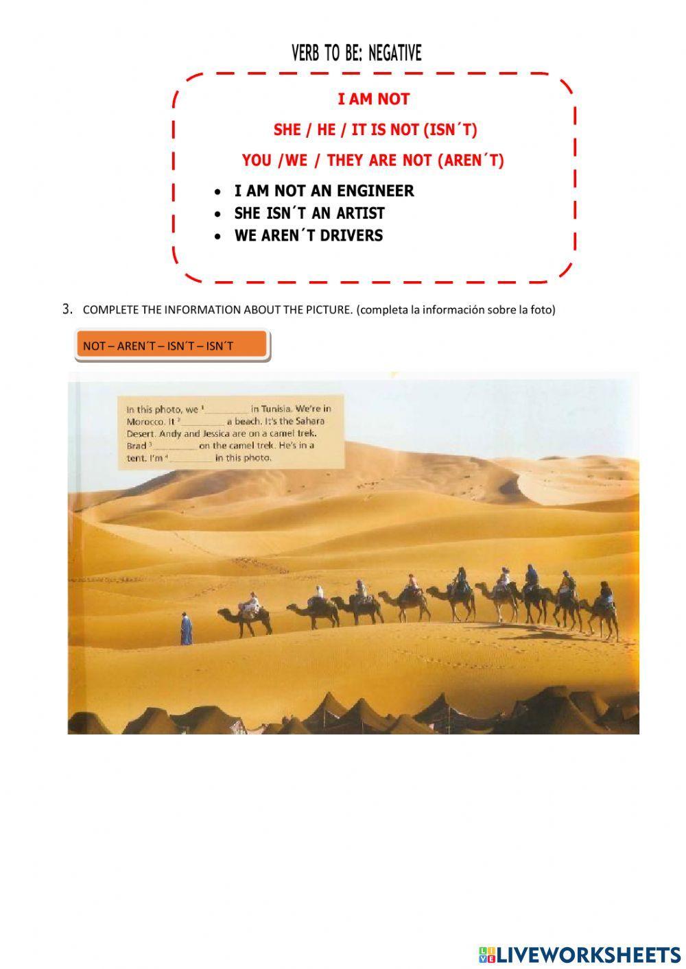 Actividad N°3 3° Año EPJA 727 Inglés