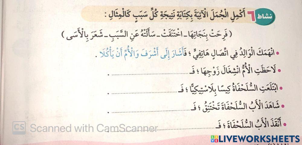 السلحفاة البحرية4