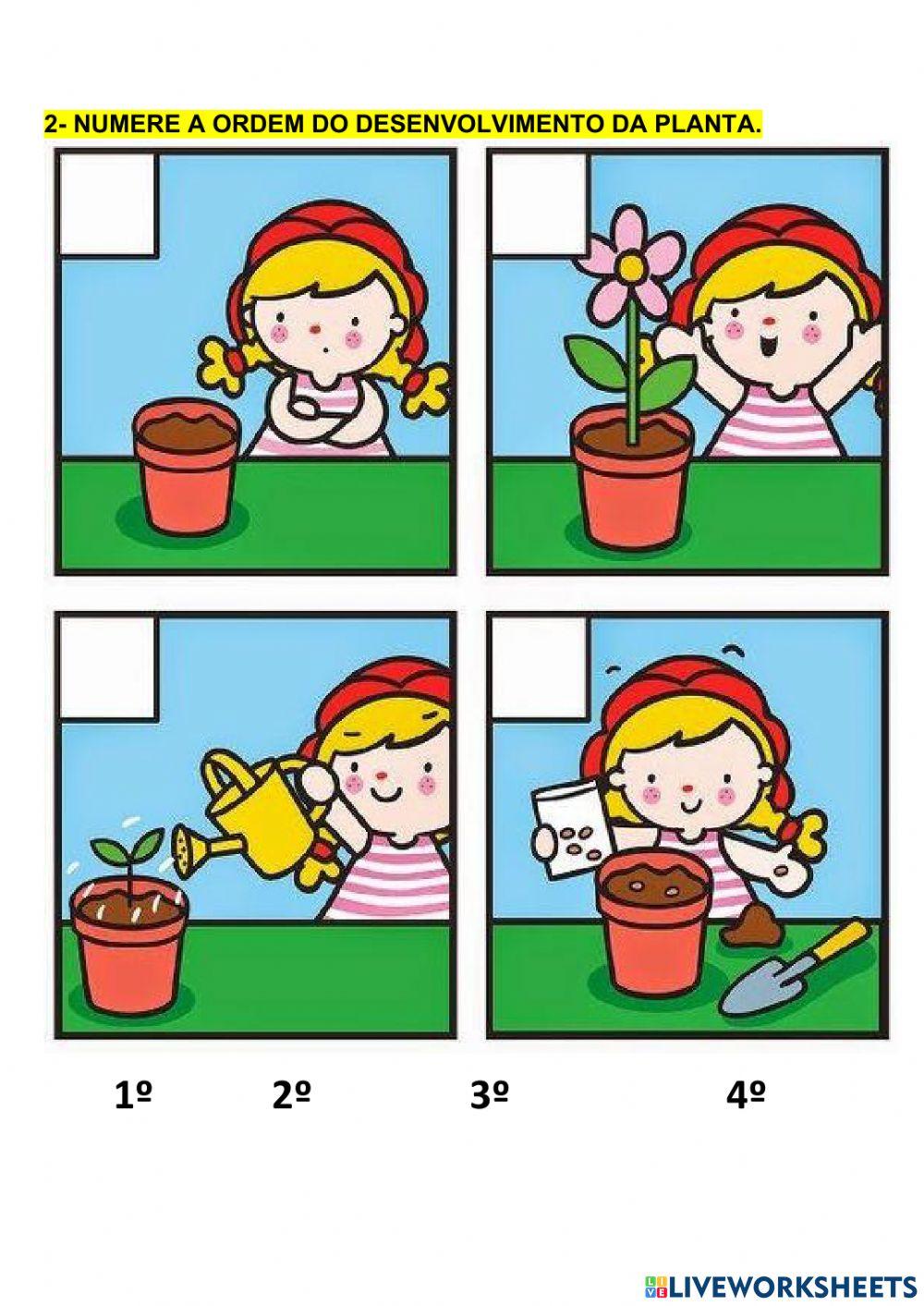 Seres vivos e seres não vivos