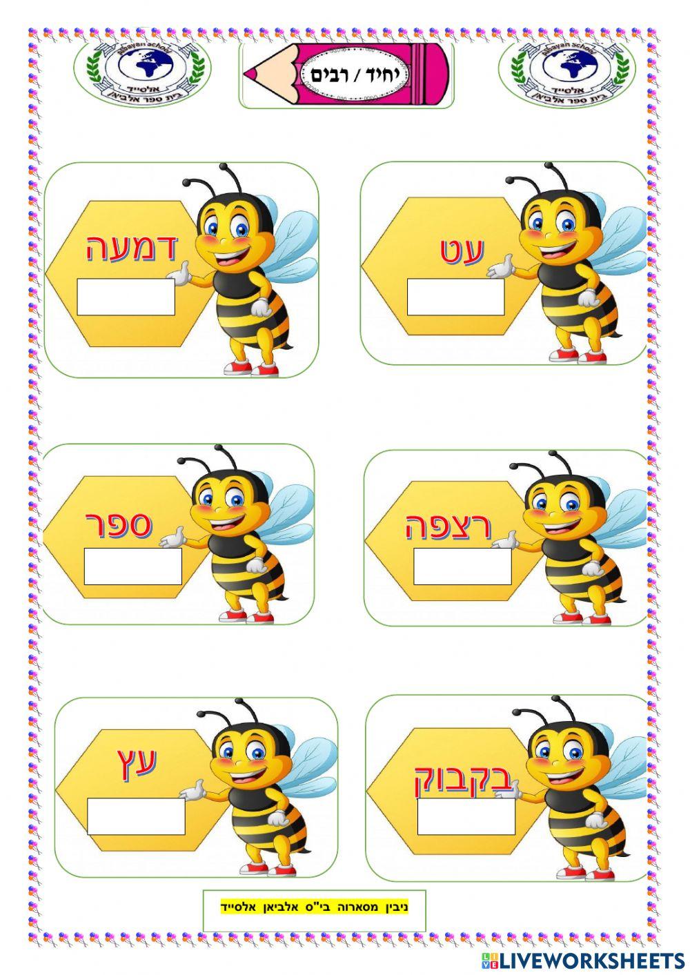 יחיד  רבים