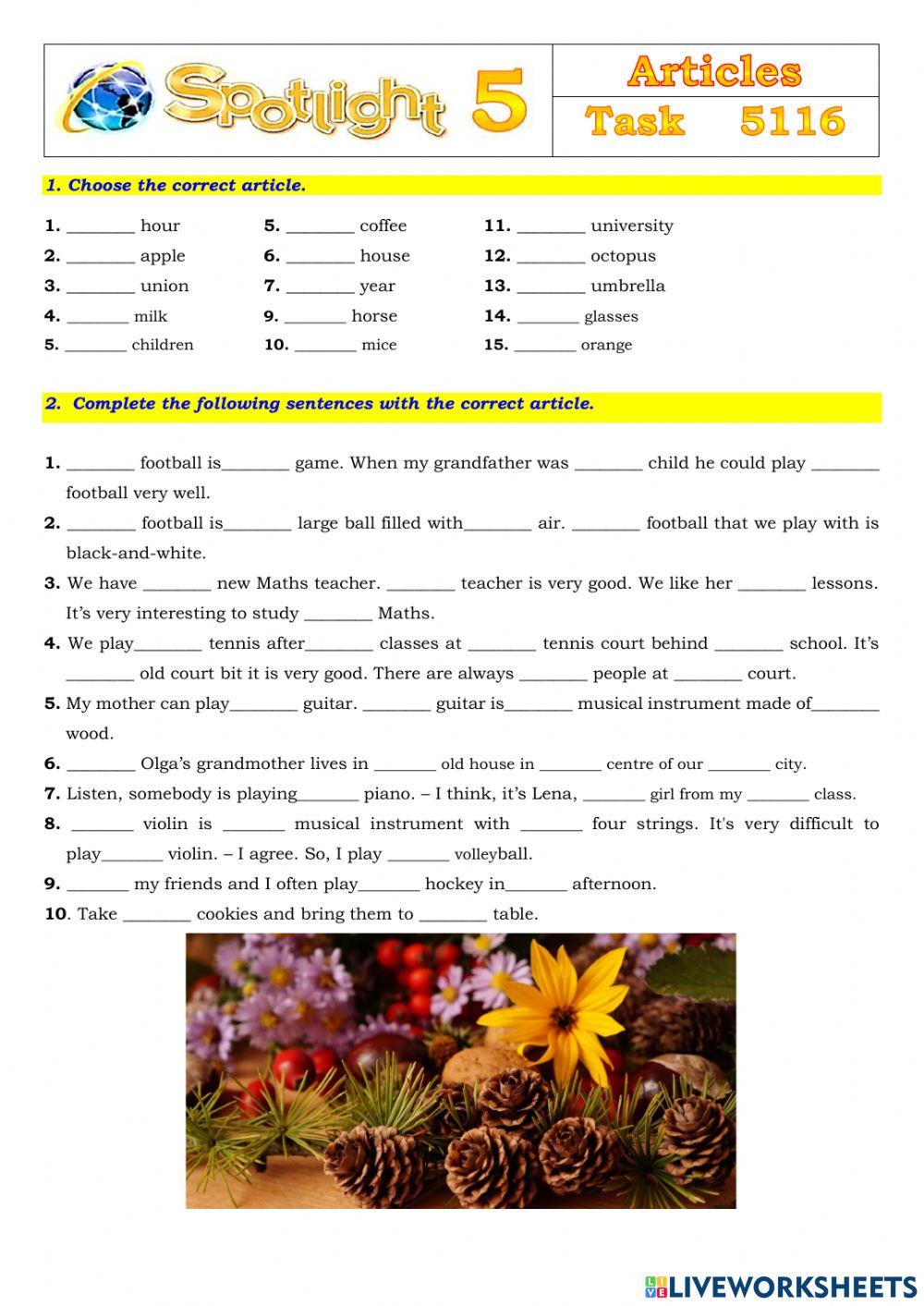 Spotlight 5 Task 5116