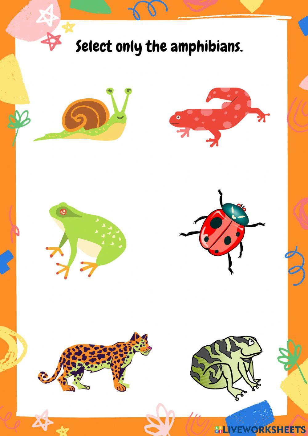 Choose the right answer