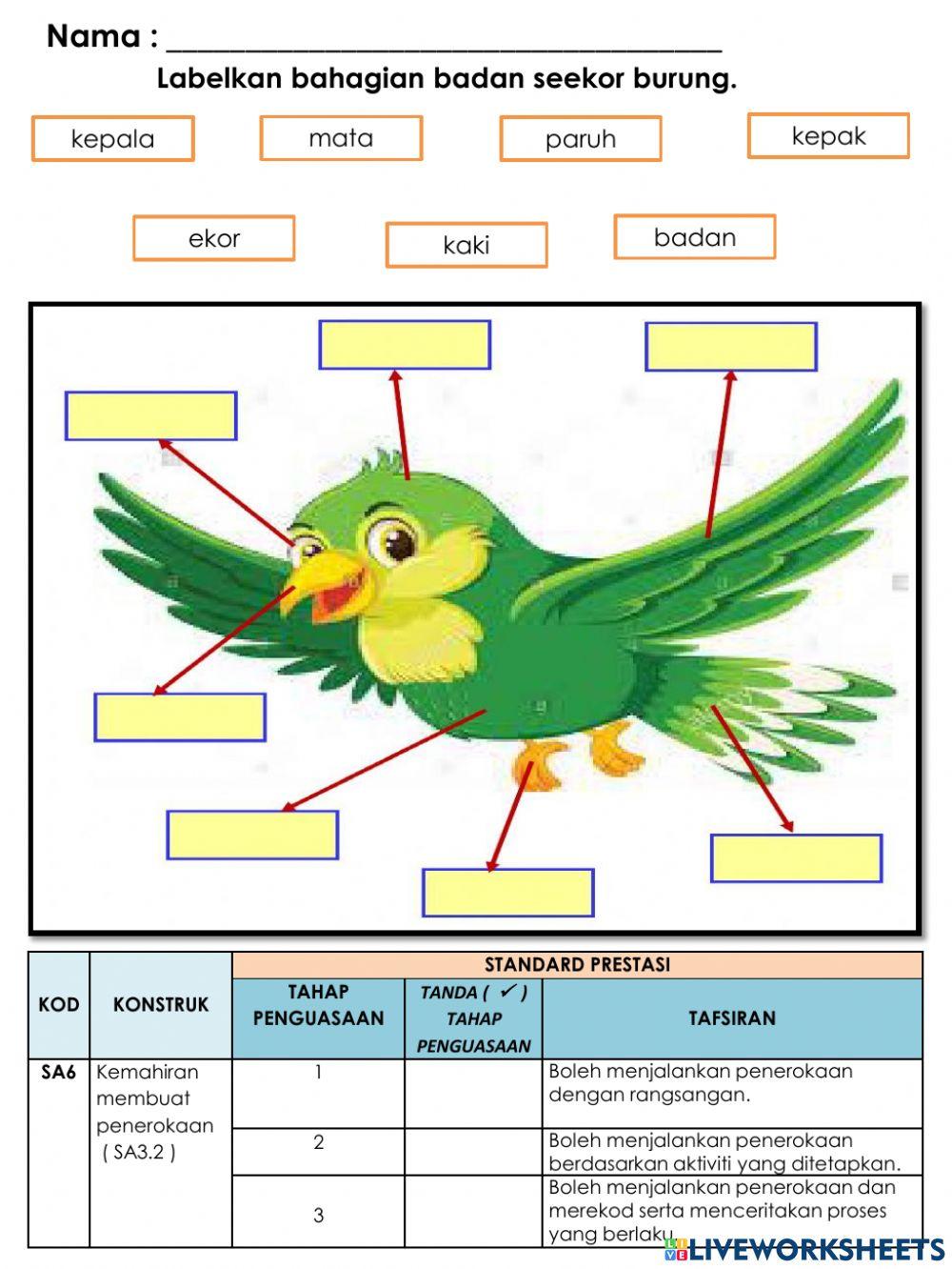 Bahagian Badan Burung & Kitar Hidup Ayam