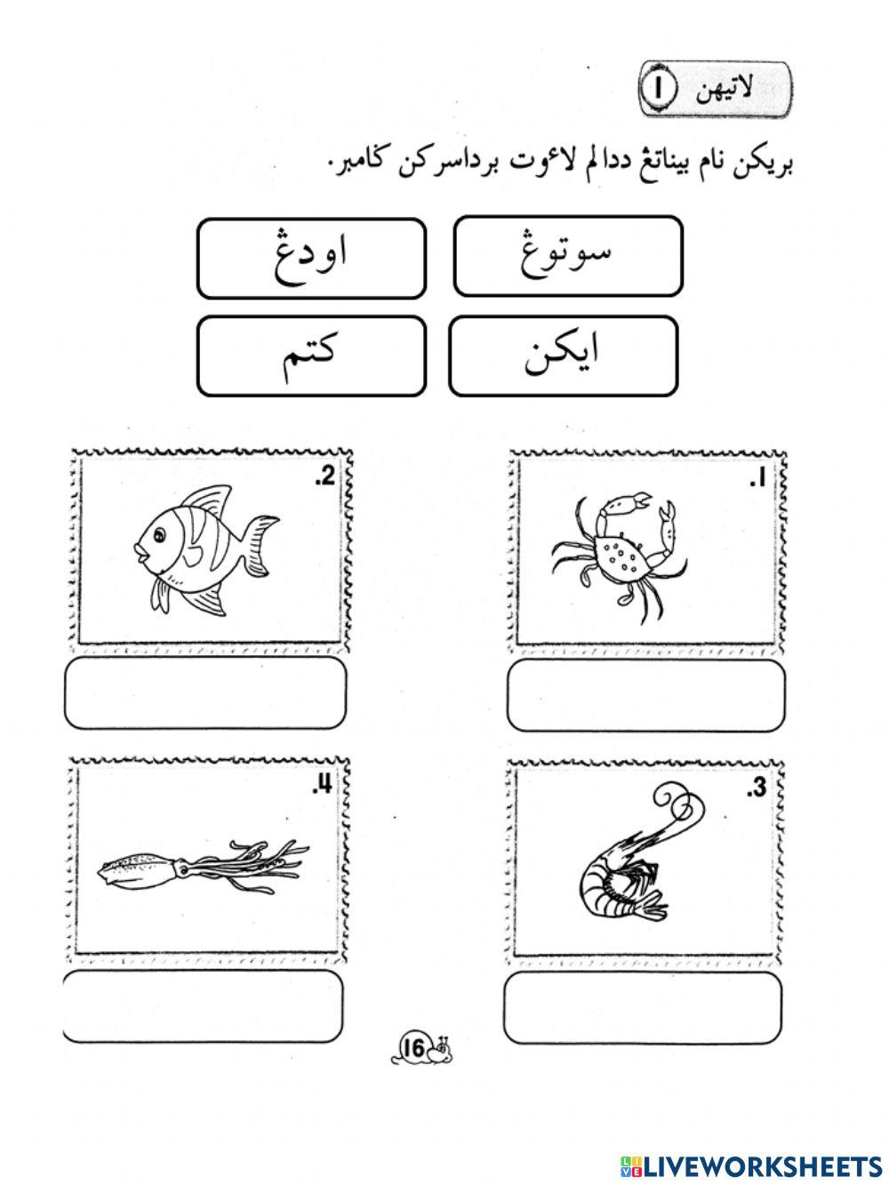 Pelajaran 3 latihan 1