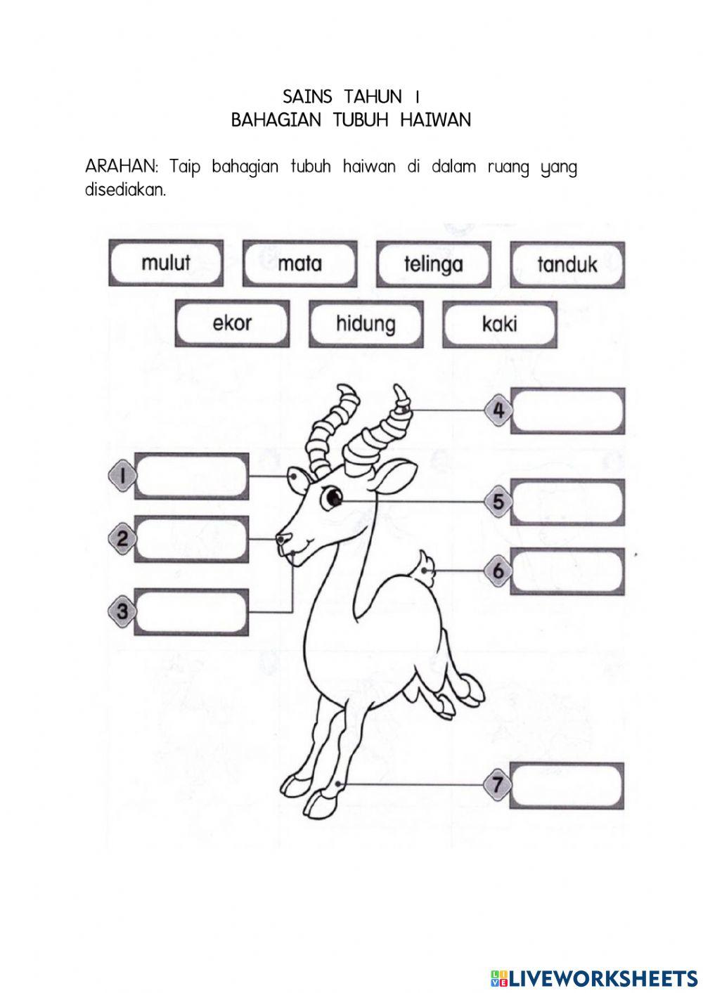 Bahagian tubuh haiwan