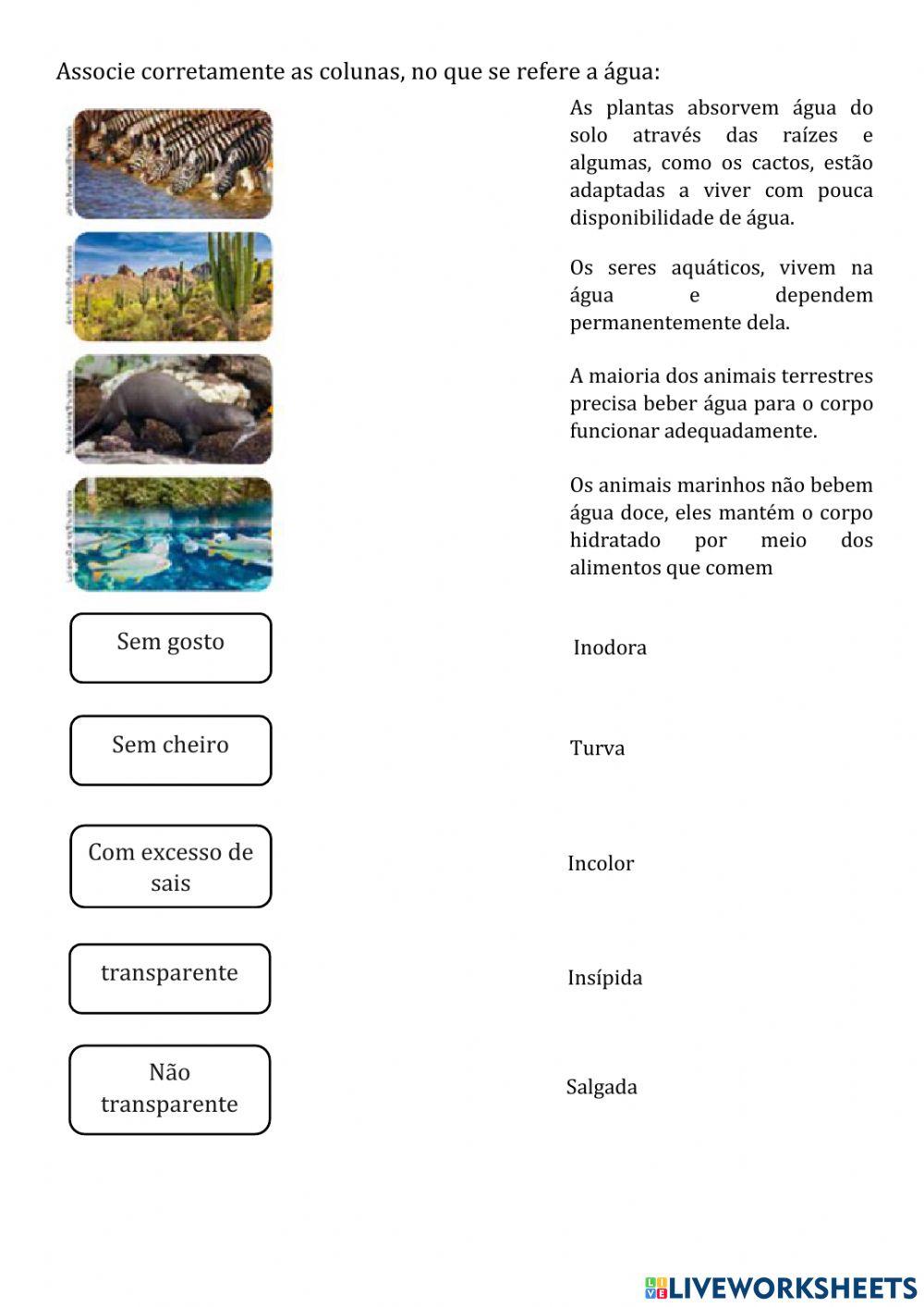 Atividade de Revisão de Ciências