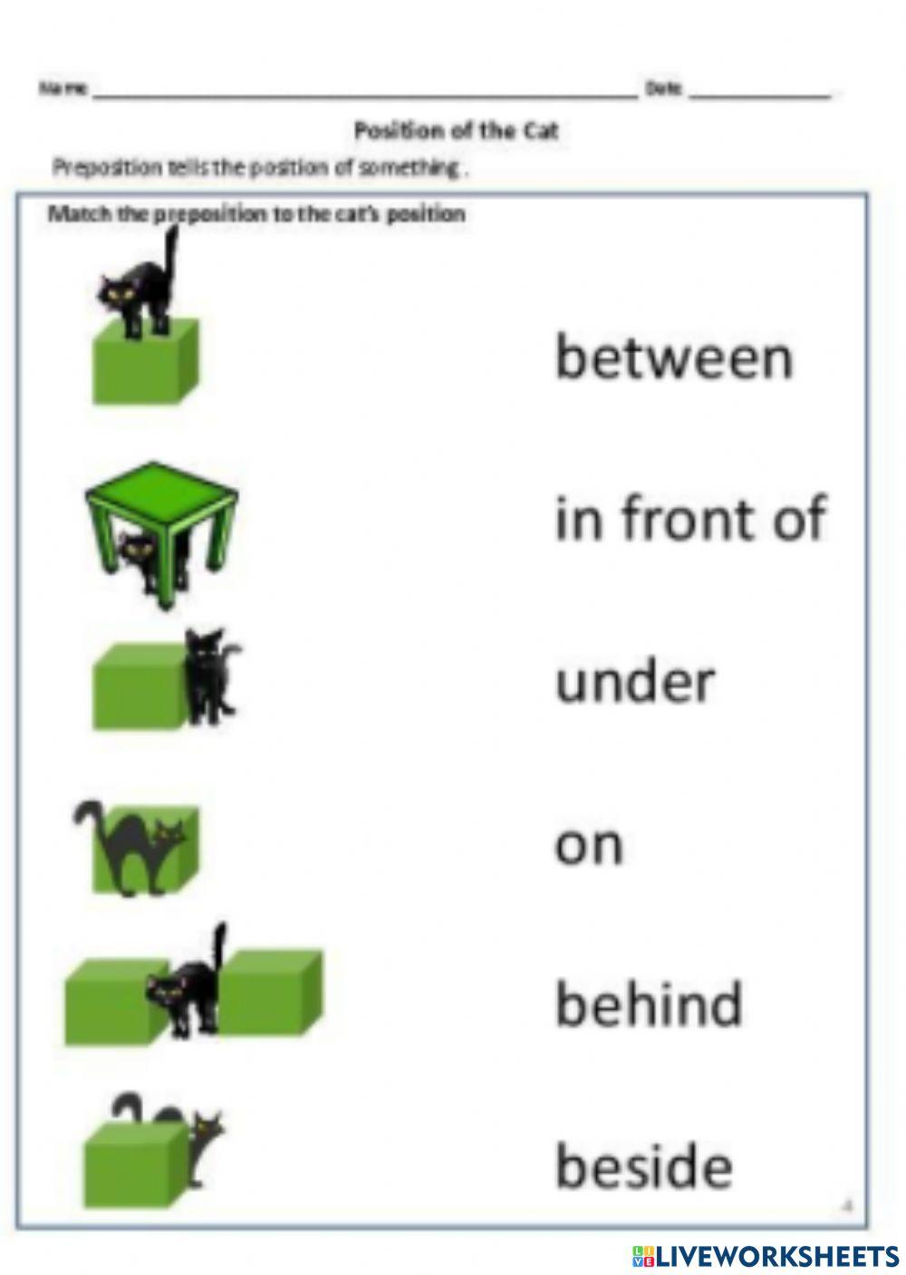 Position exercise for jrkg live worksheets