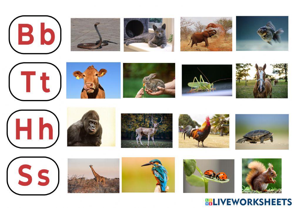 Final ödevi 1082587 | hasretkkayaa | Live Worksheets