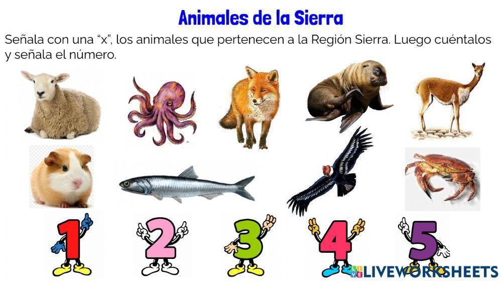 Animales de la Sierra (preescolar)