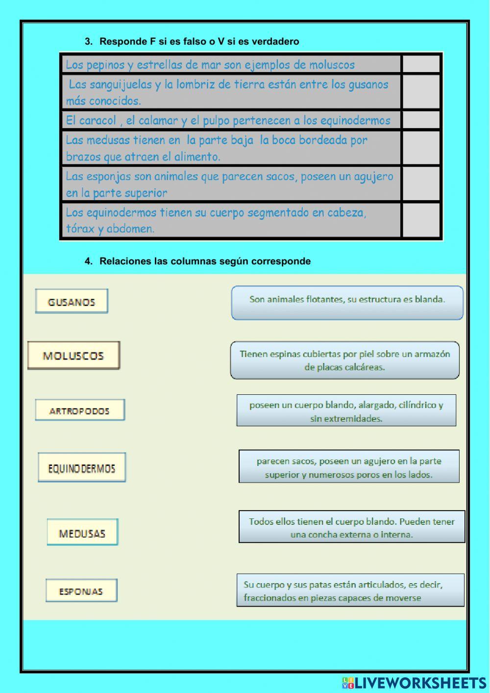 Evaluacion-ccnn-p7