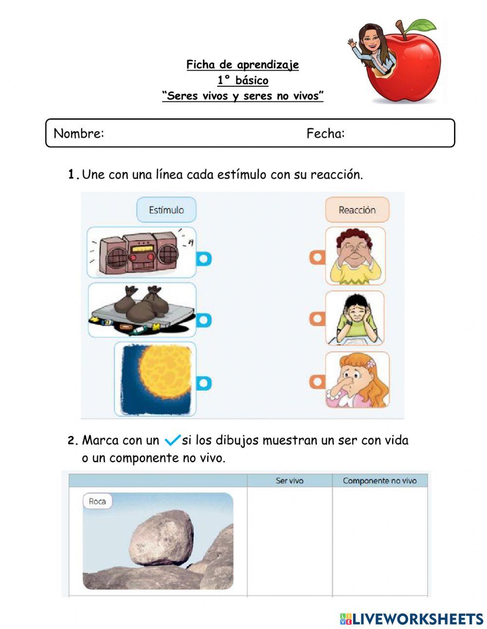 Ficha de aprendizaje Seres vivos y no vivos