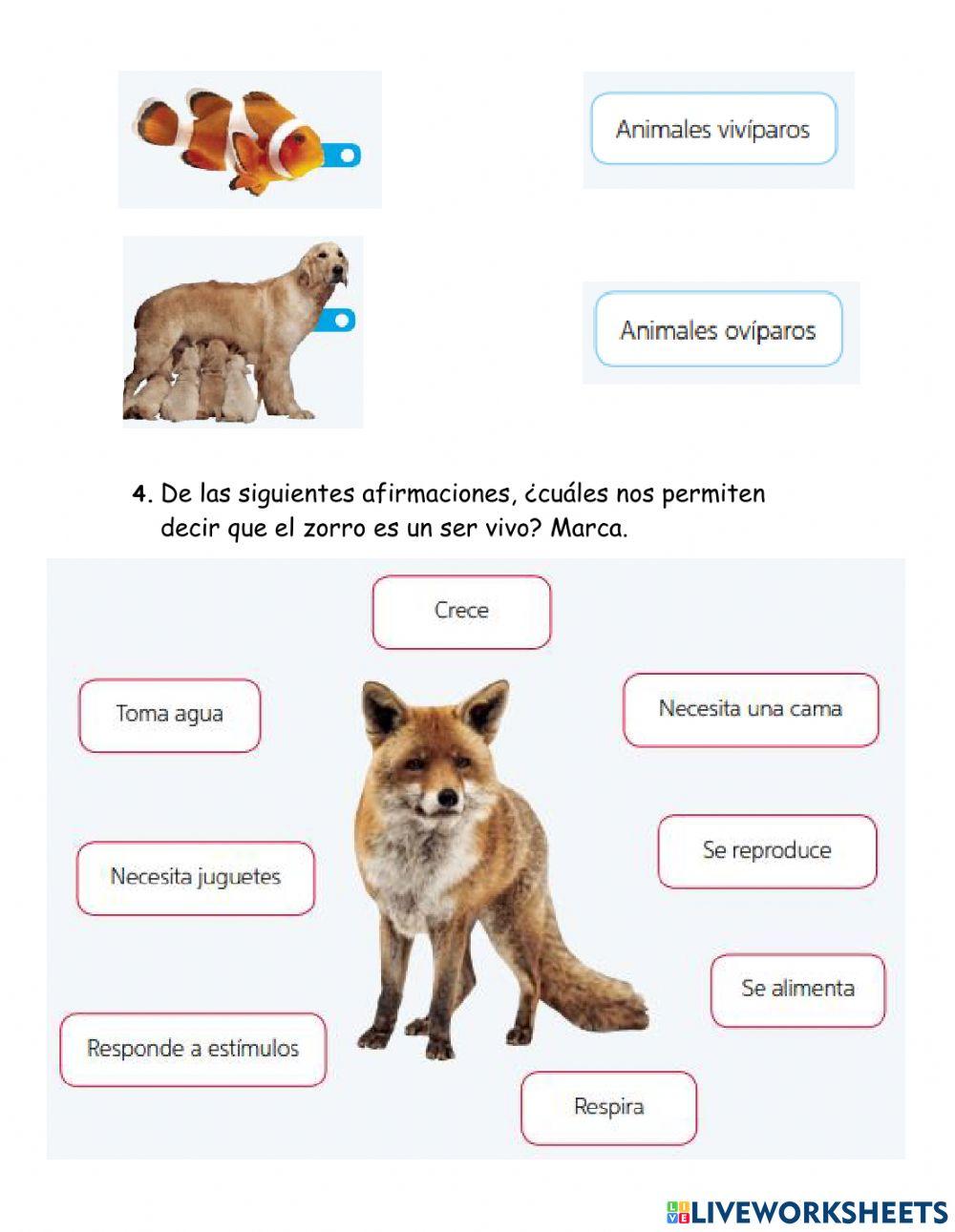 Ficha de aprendizaje Seres vivos y no vivos