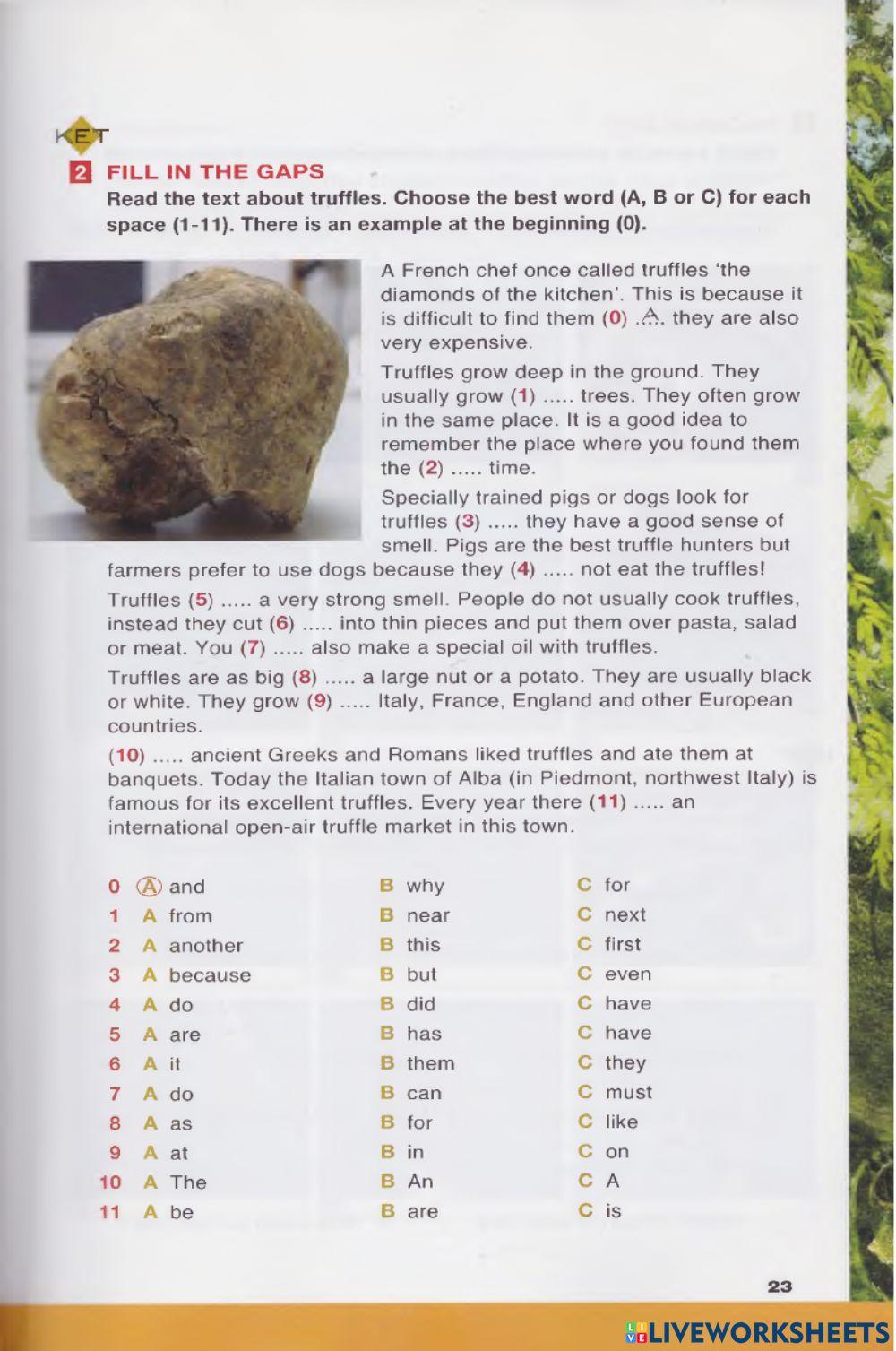 The Legend of the Unicorn ch. 2