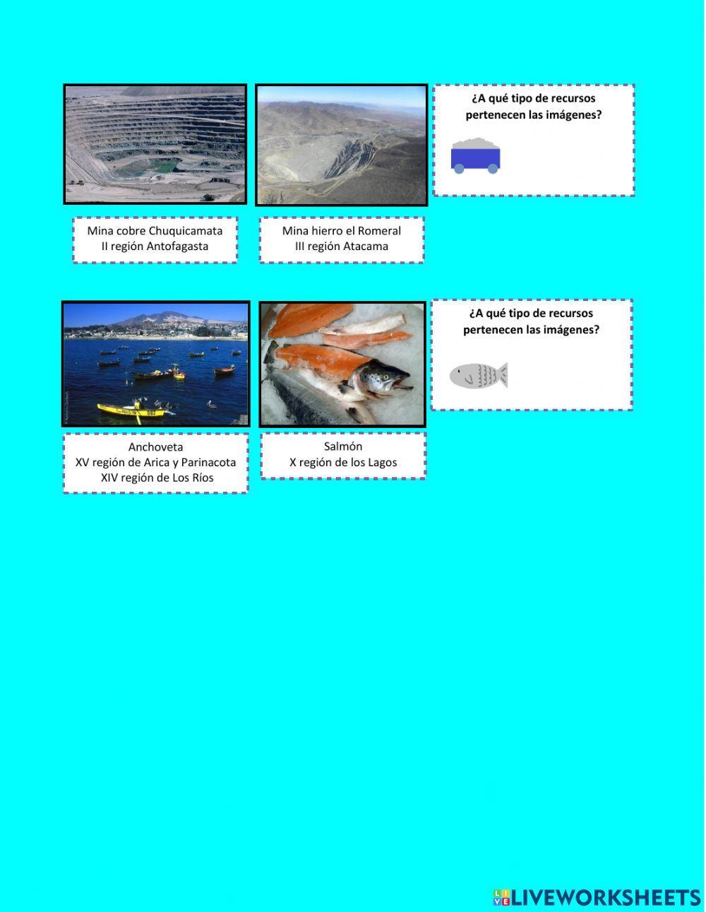 Ficha Recursos Naturales Chile